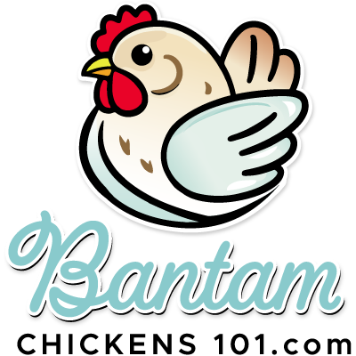 Bantam Chickens 101 logo with a cute bantam chicken and text showcasing a resource for bantam chicken care and information